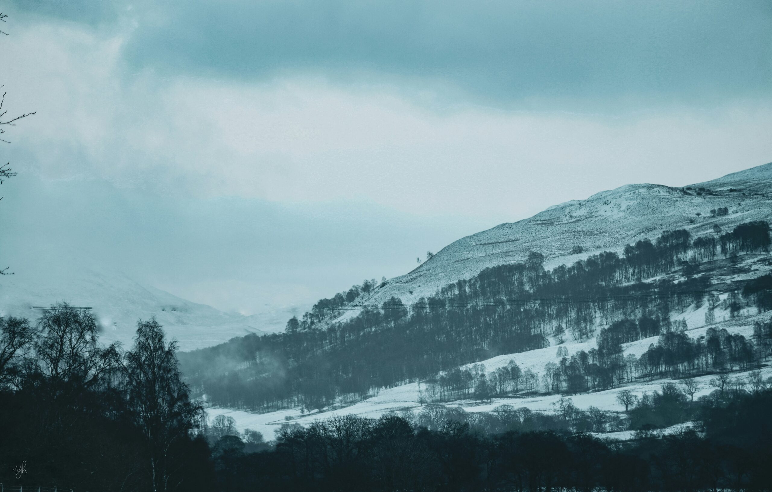 บทกวีประจำสัปดาห์: ถึงพวงหรีดหิมะ // Emily Brontë: The Indiependent